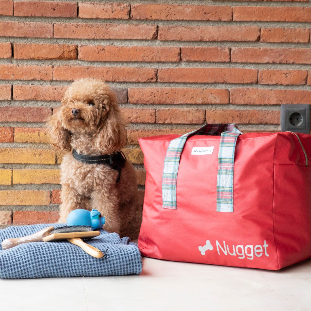 MYBIGBAG MASCOTAS