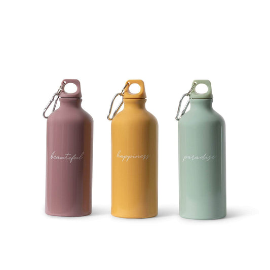 Botella Aluminio 600ml. Botella Aluminio 600ml.
